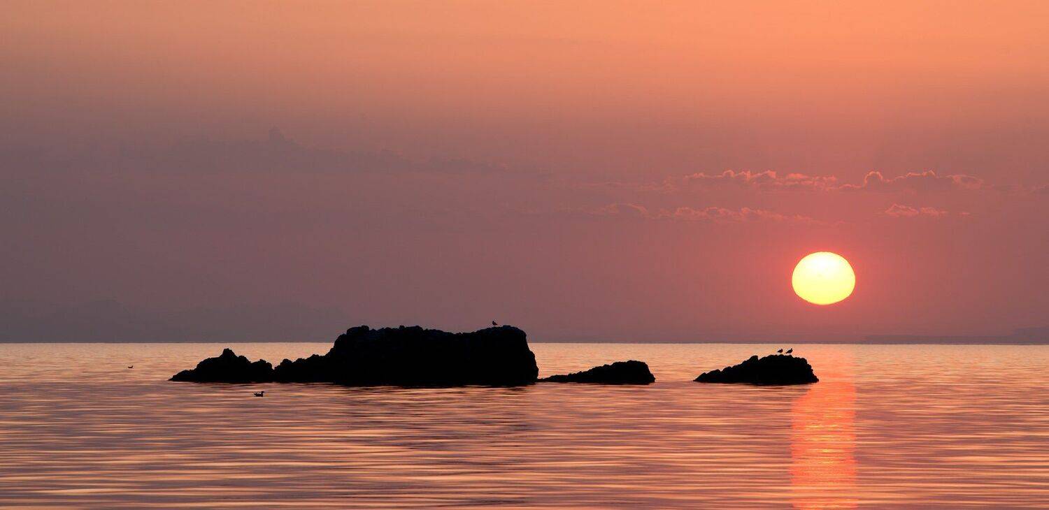 , Станислав Савицкий