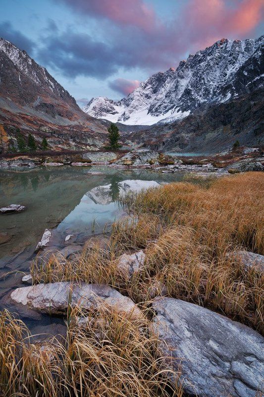 алтай, куйгук, altay, kuyguk На осеннем берегу фото превью