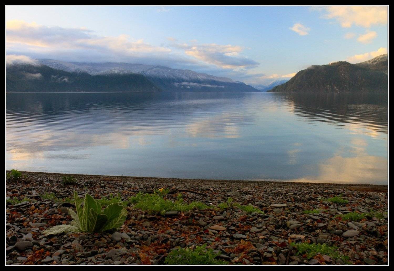 алтай, телецкое, озеро, Юрий Фролов