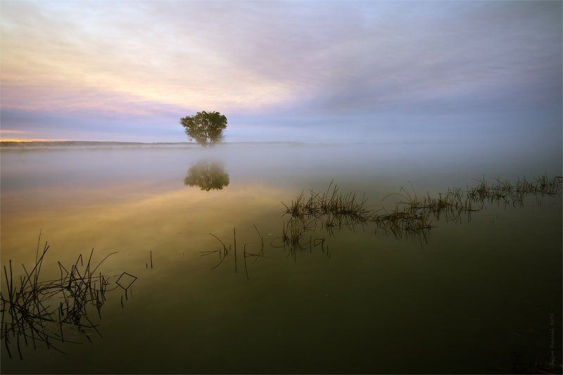 утро, туман, река, небо, пейзаж, природа О предрассветном сиреневом... фото превью