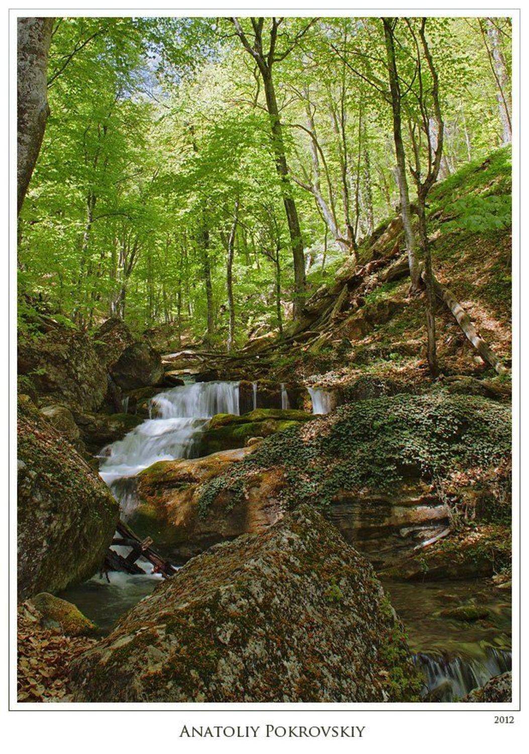 крым, горы, хапхал, водопад , камни, лес, анатолий покровский, Анатолий Покровский