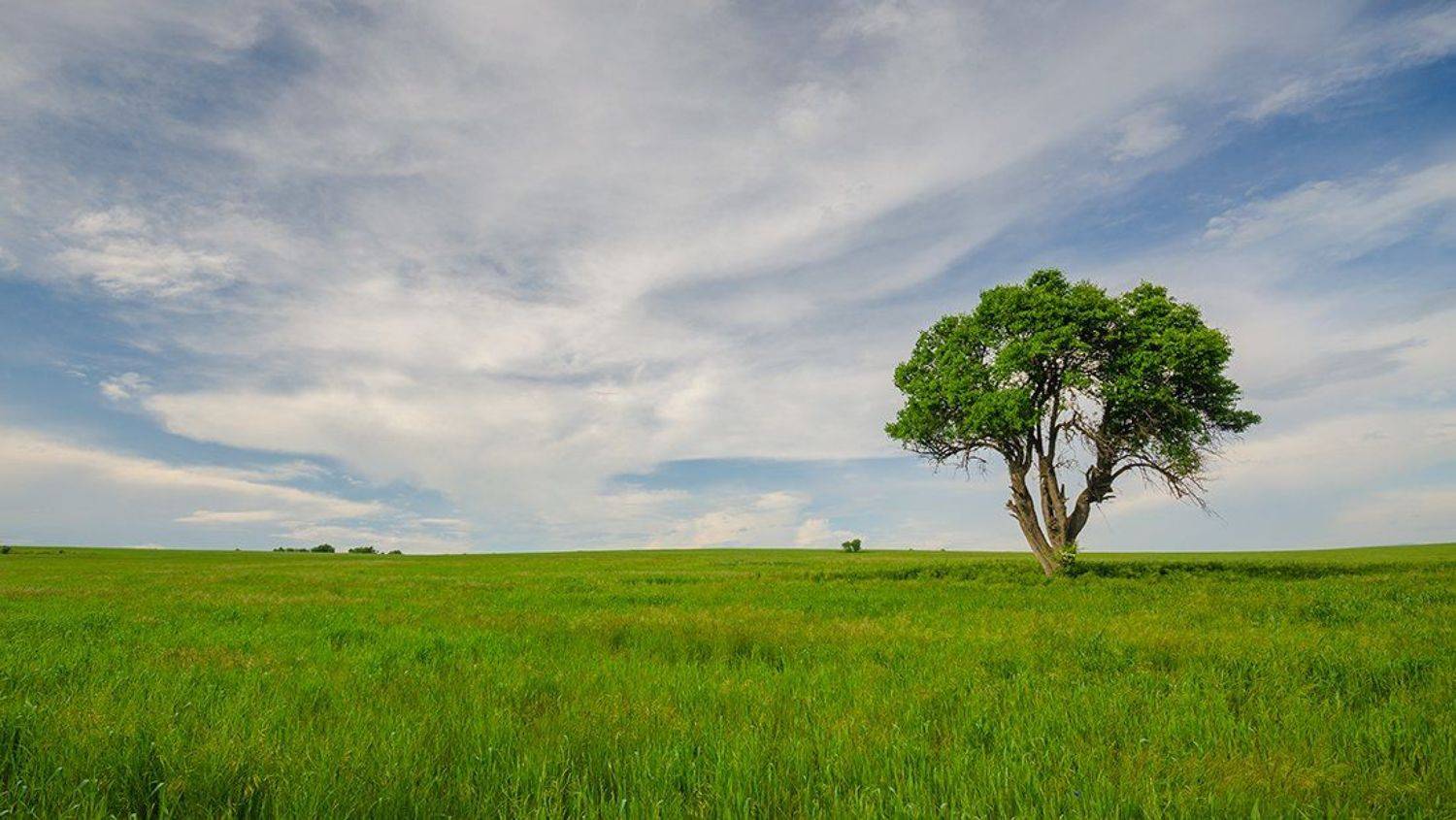 , Philip Peynerdjiev