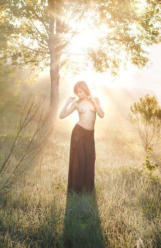 Sunshine
