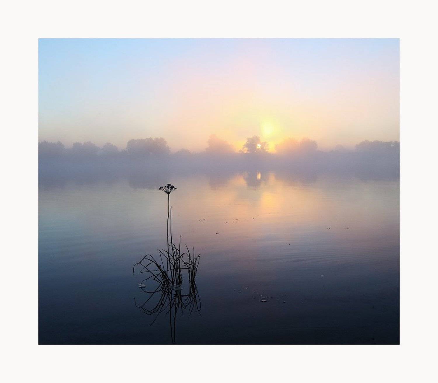 утро, река, туман, трава, Сергей