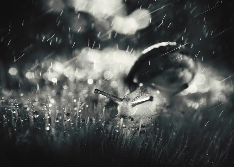 It was a dark and stormy night фото превью