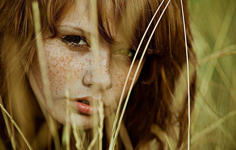 ::::: фото превью