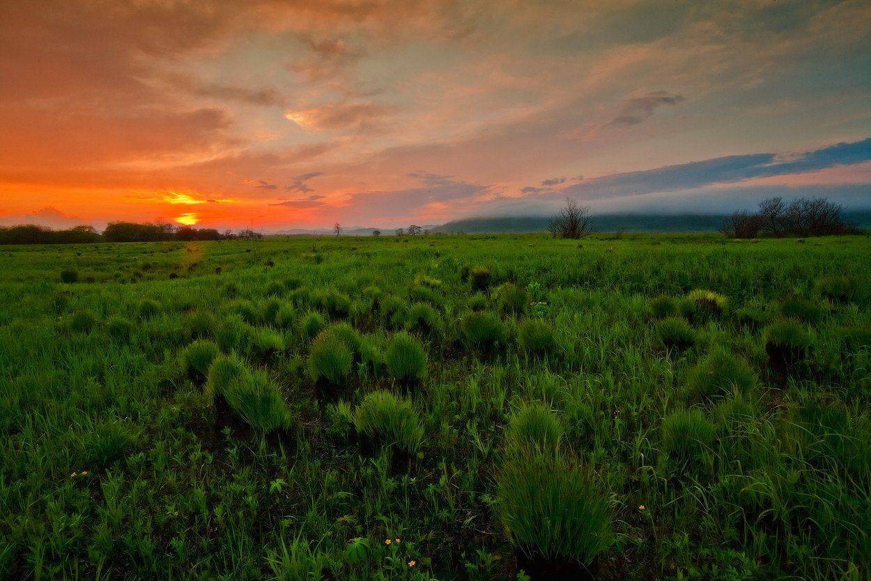 весна, закат, вечер, трава, небо, Андрей Кровлин