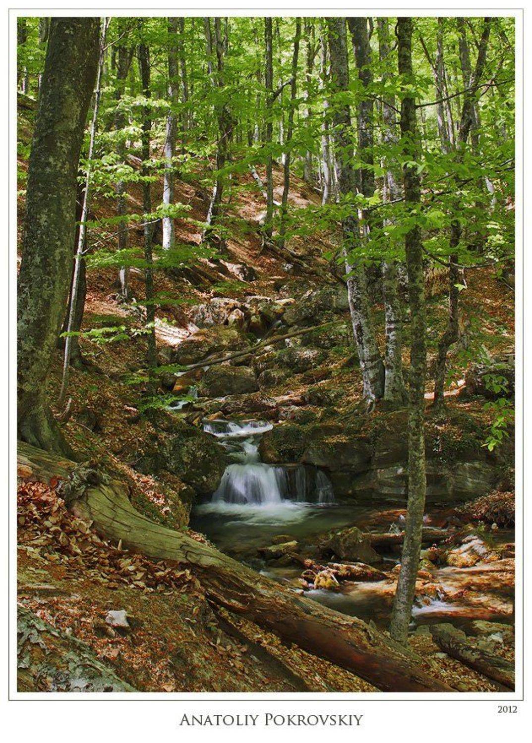 крым, горы, хапхал, водопад , камни, лес, анатолий покровский, Анатолий Покровский