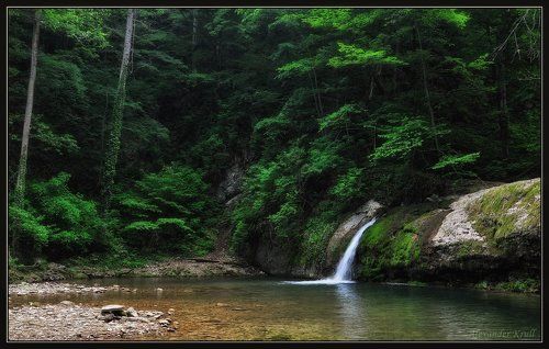 Под шум лесного водопада...