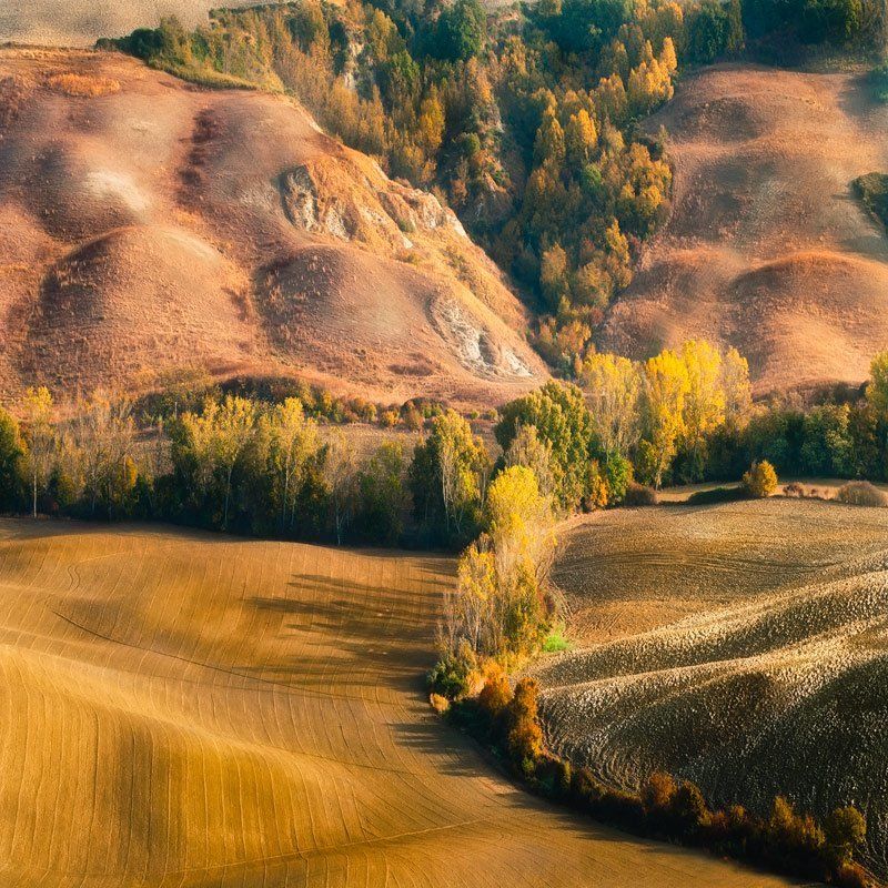 светящийся край фото превью