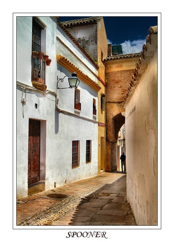 * * * фото превью