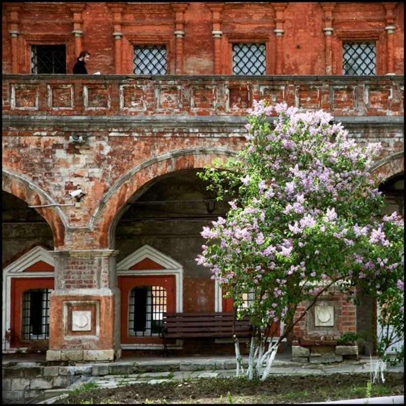 *** фото превью