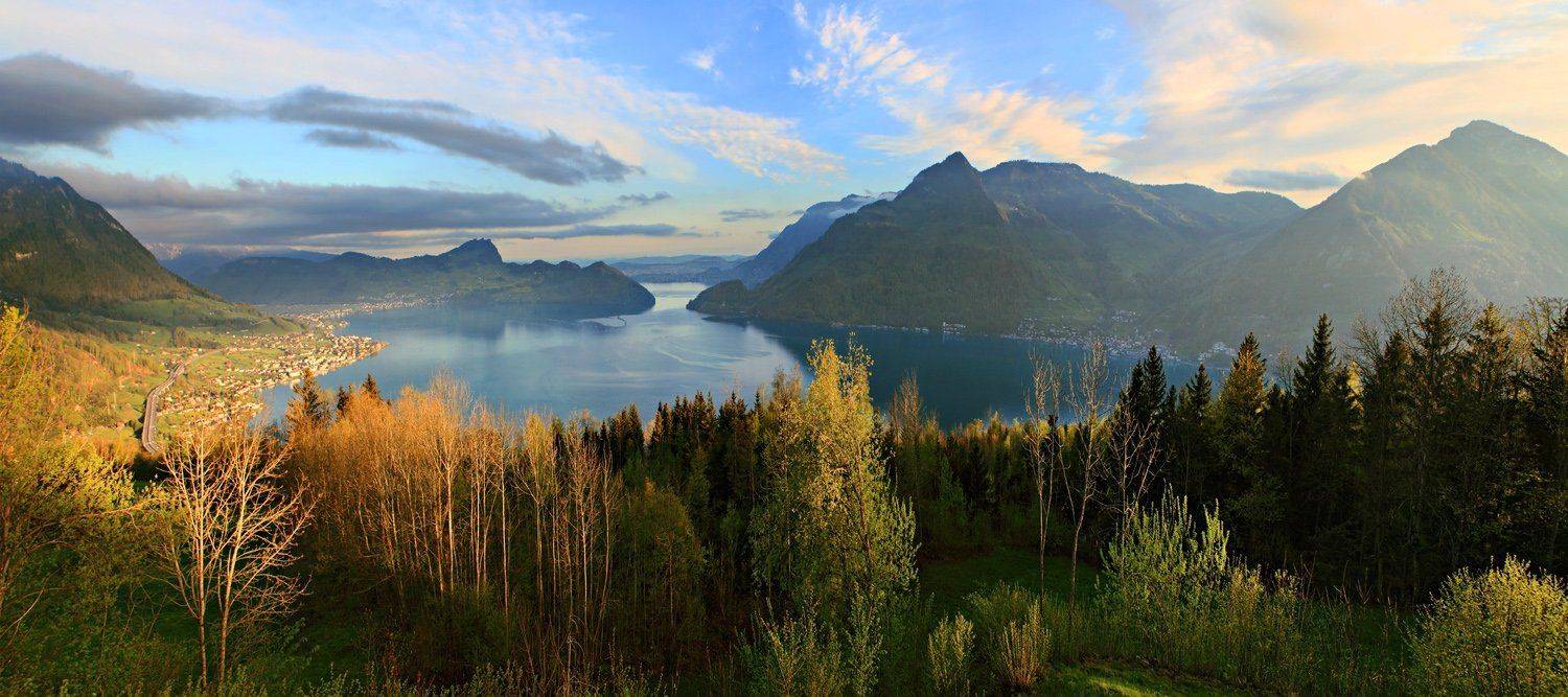 swiss, Матвеев Николай