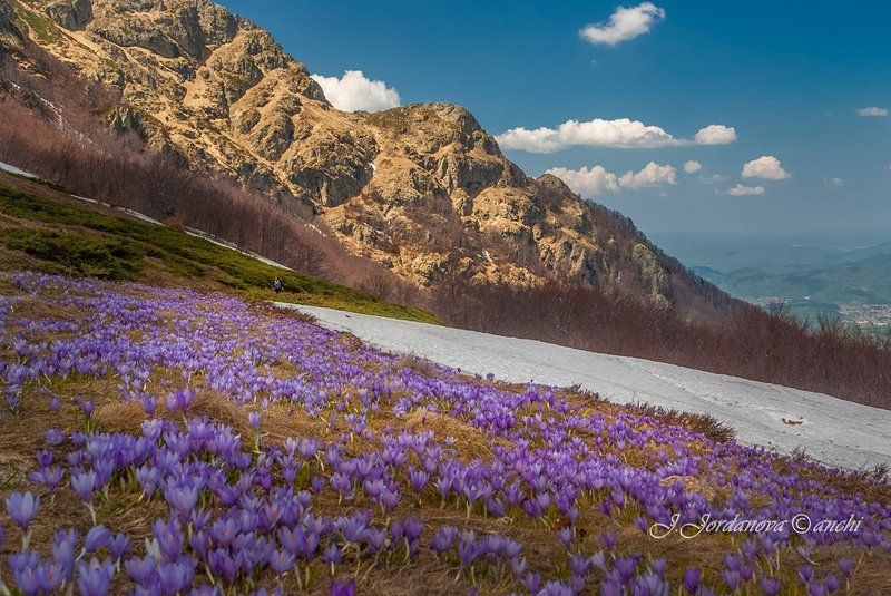 What a Wonderful World... фото превью