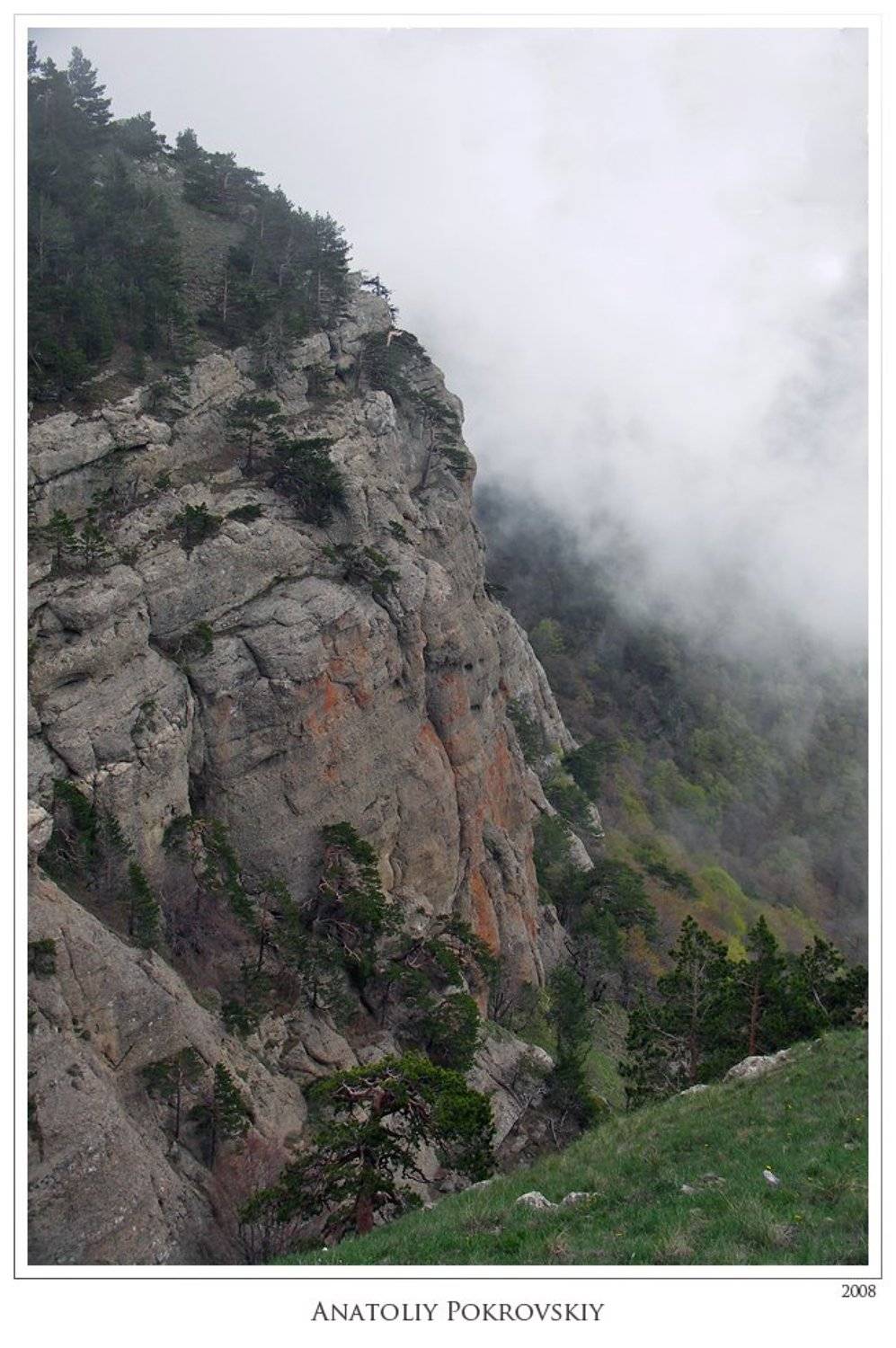 крым, горы, демерджи, туман, облака, весна, деревья, сосны, анатолий покровский, Анатолий Покровский