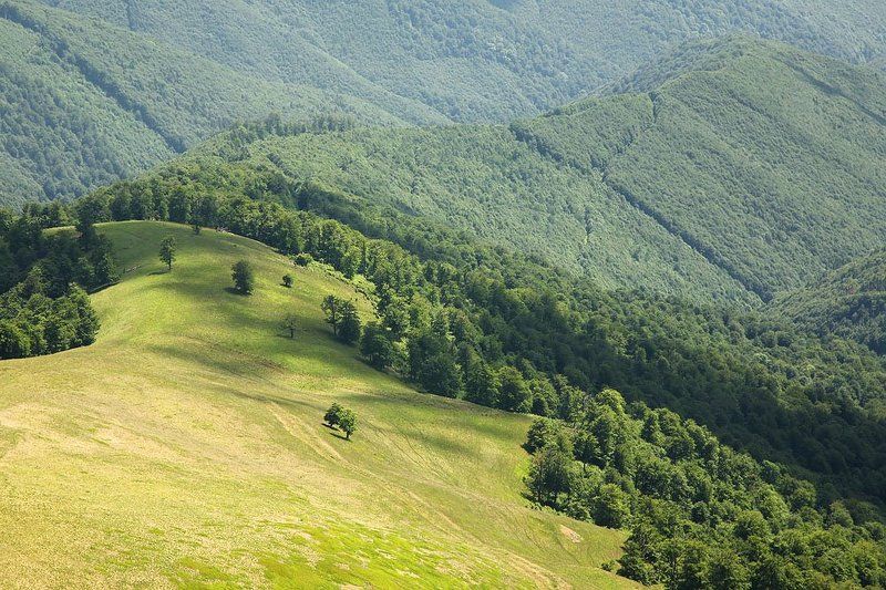 карпаты, весенняя фото превью