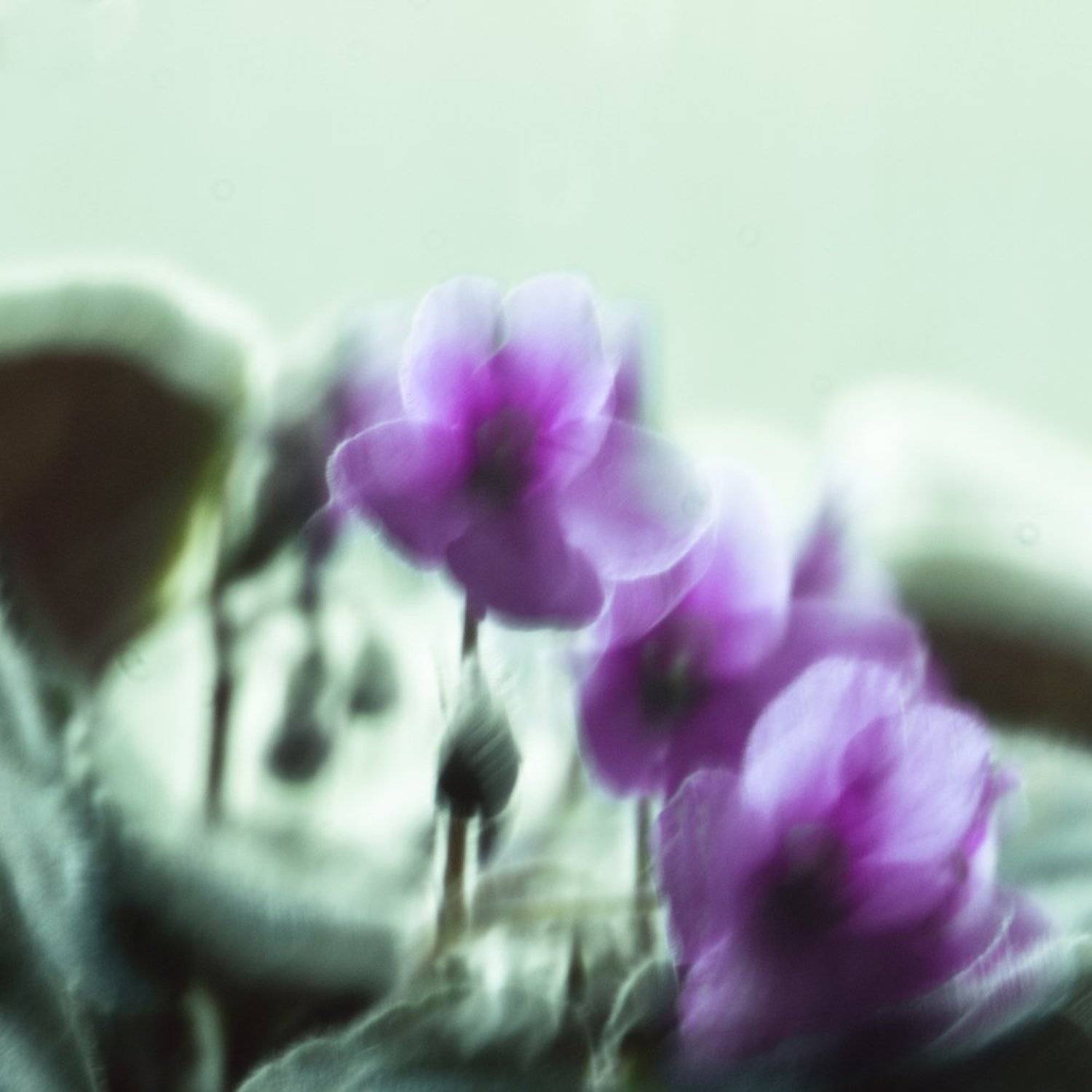 , Фомиченко Иван