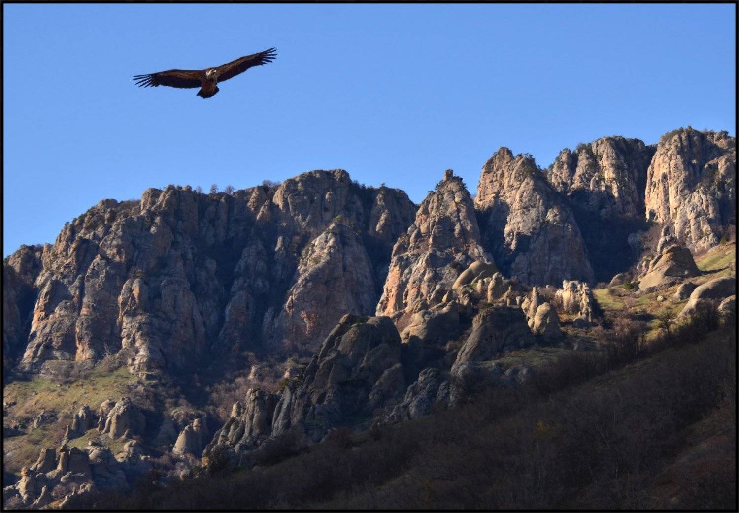 крым, белоголовый сип, долина приведений, демирджи, Владимир Метцгер