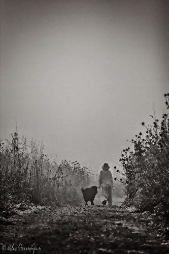 Into the Wild (Путь в Тишину)