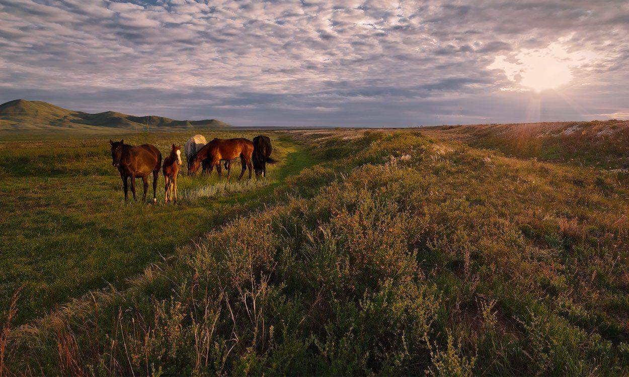 , Андрей Журавлев