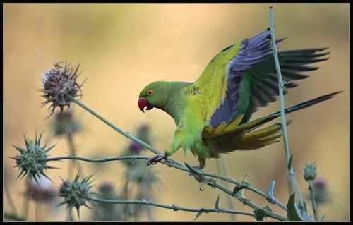 Держи меня соломинка держи