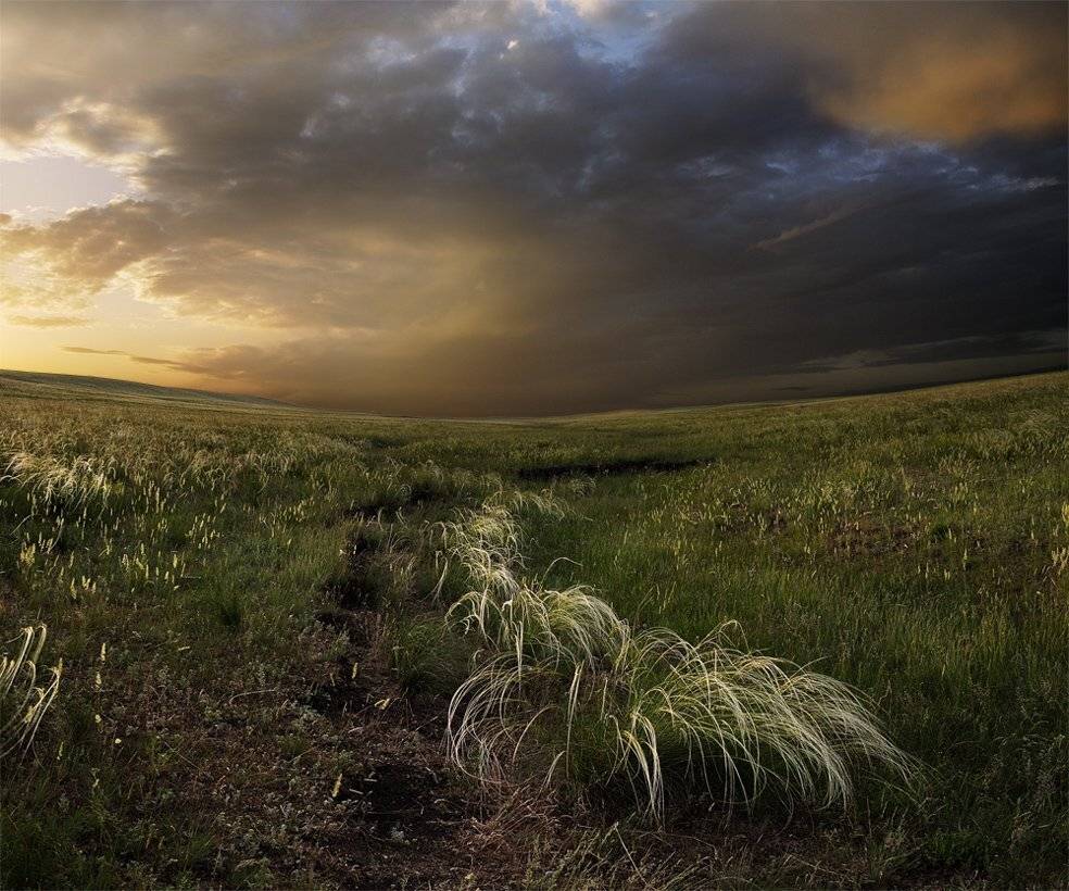 , Дeнис Бoдрoв