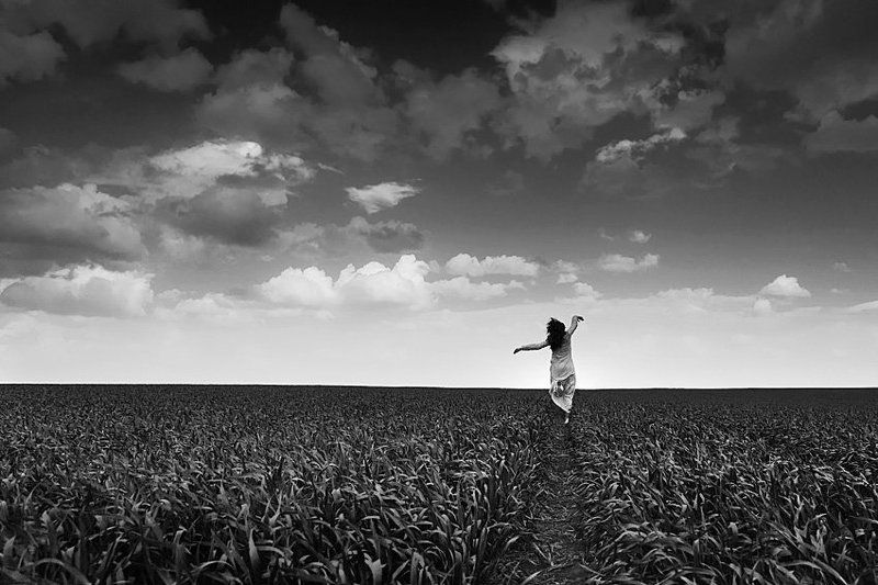 Black and white spring фото превью