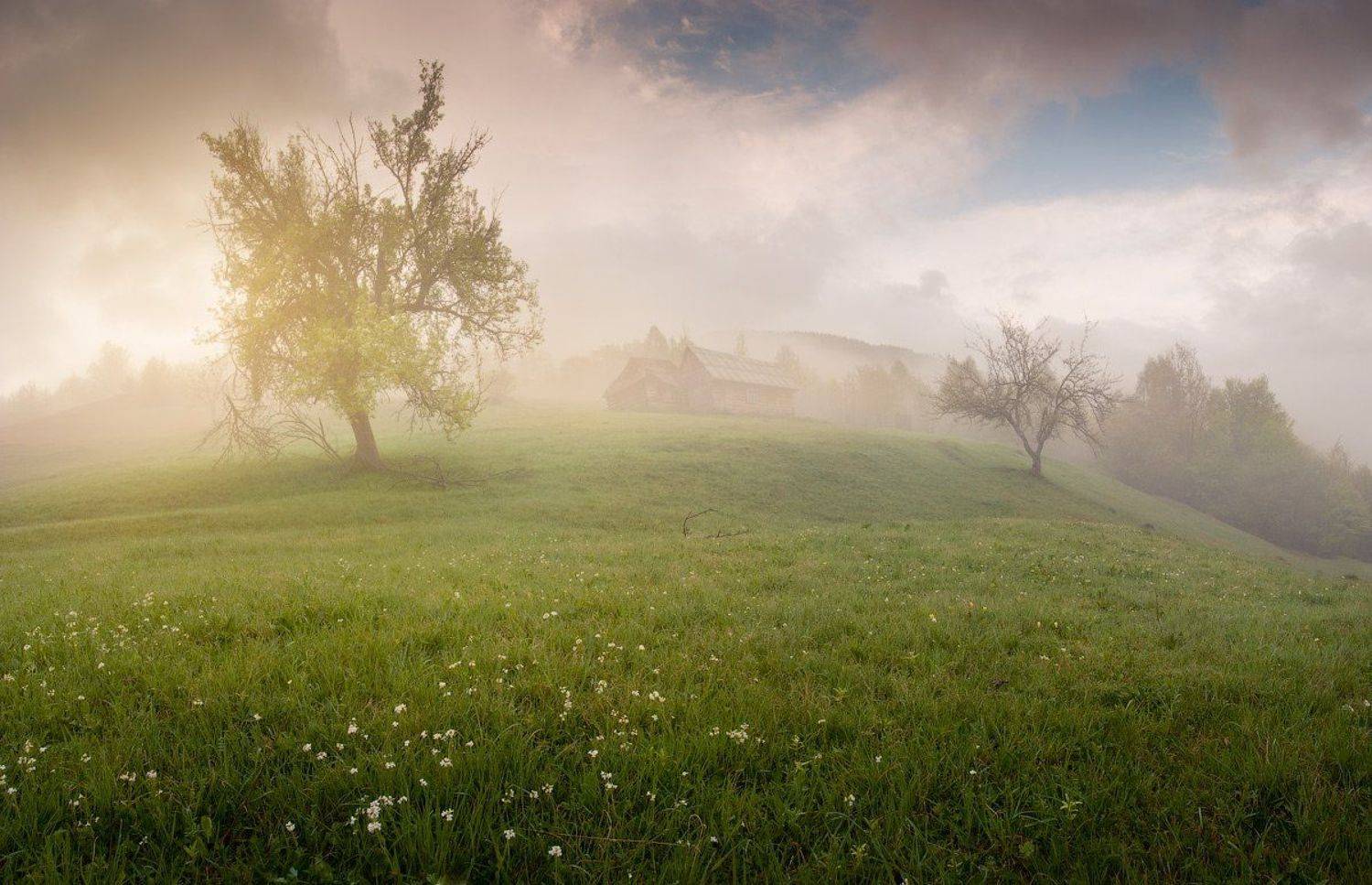 карпаты, весна, Коржонов Даниил