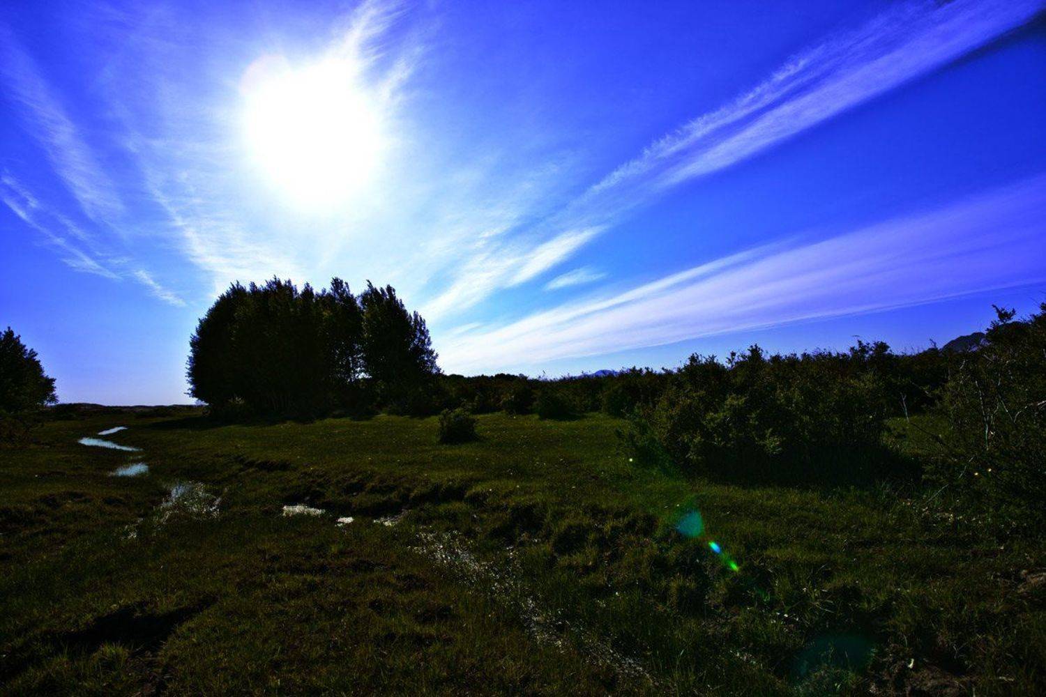 , Дмитрий Елисеев