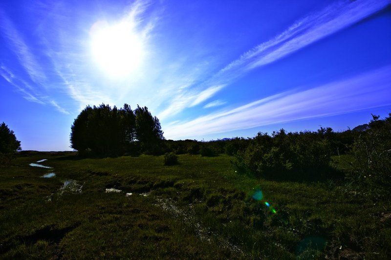 Бектаушамбареализм фото превью
