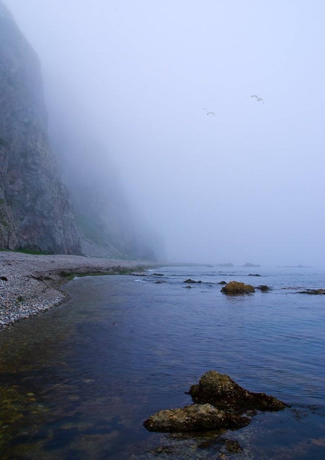 , Вадим Кузьмичев