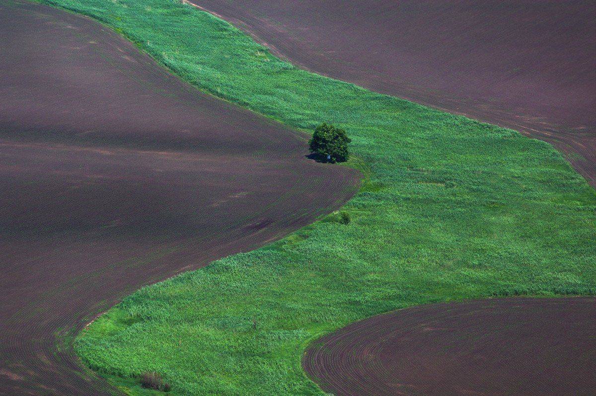 , Сидоренко Алексей