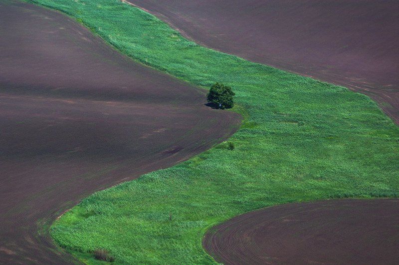 Зеленая река фото превью