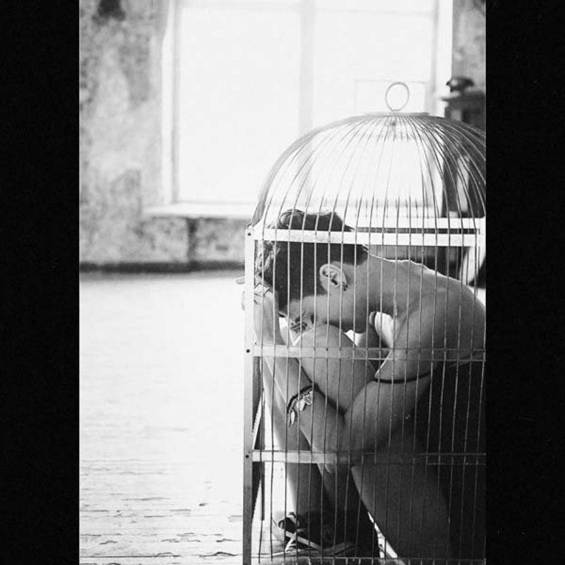 cell фото превью