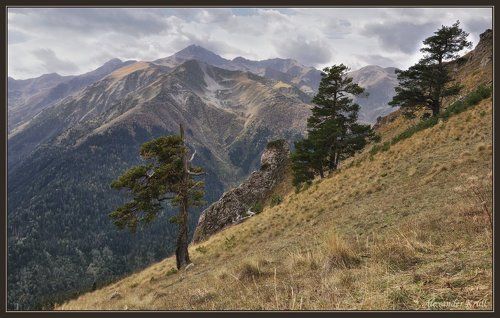 Говорящие с ветром...