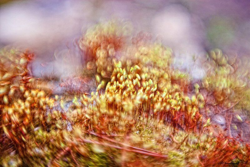 Закружилась голова.. фото превью