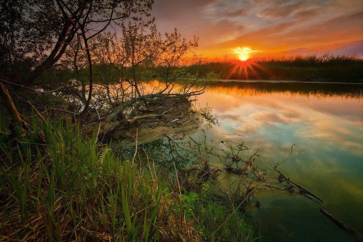 весна, вечер, закат, солнце, река, трава, Андрей Кровлин
