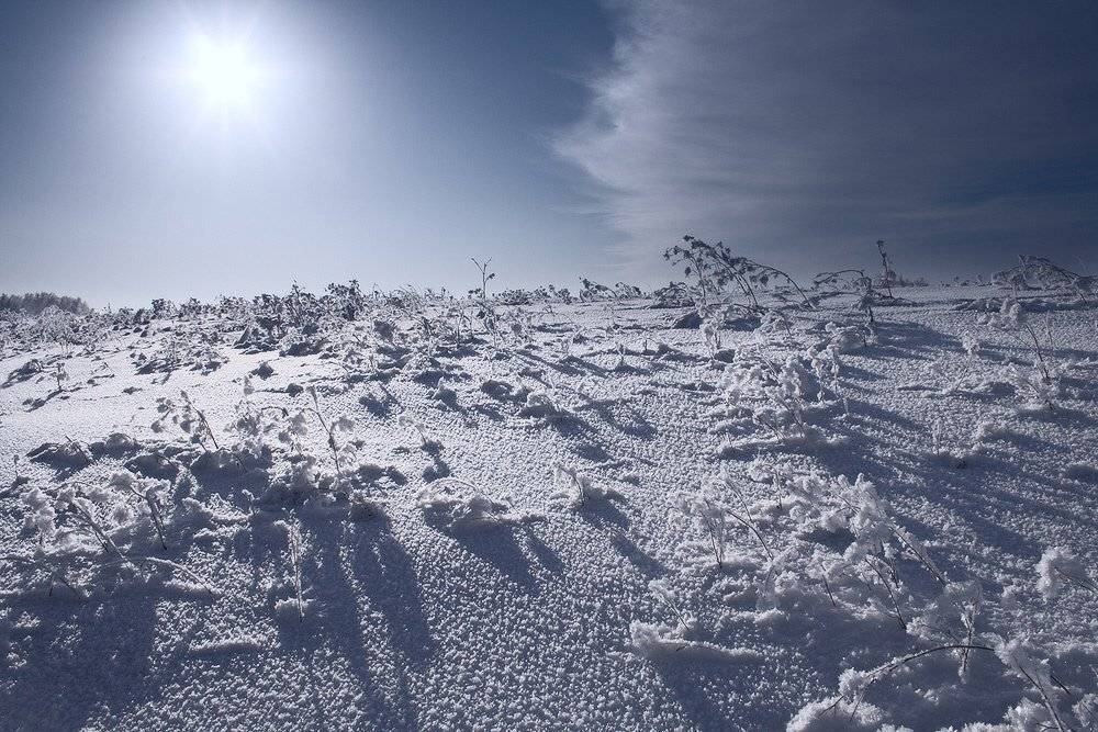 , Николай Морский