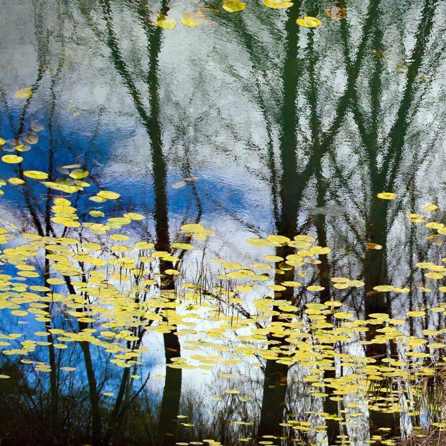 , Людмила Прокофьева