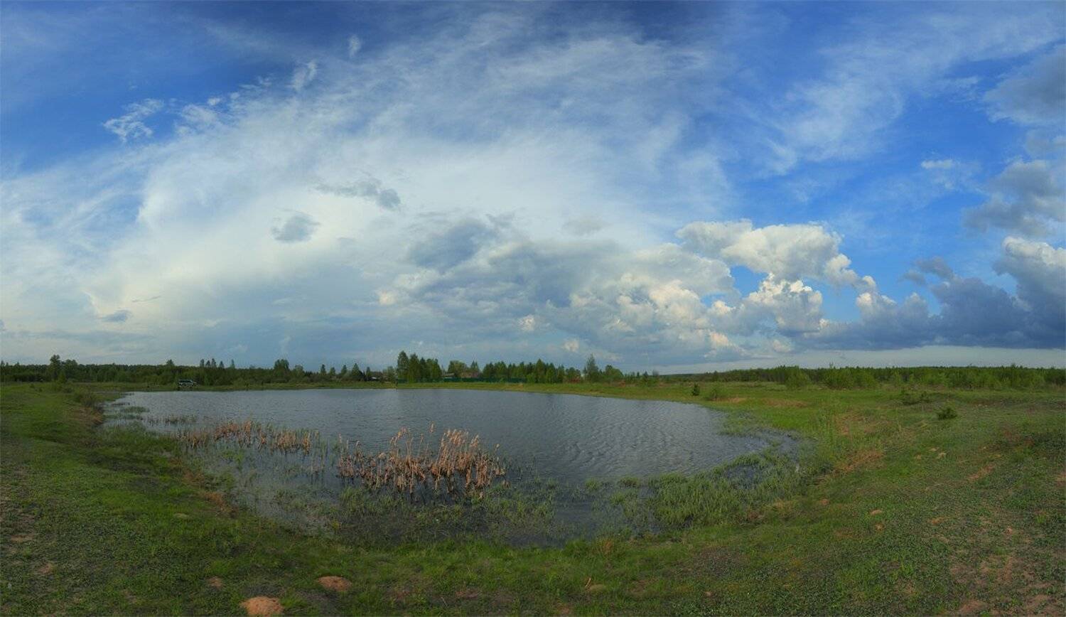 , Максим Ильин