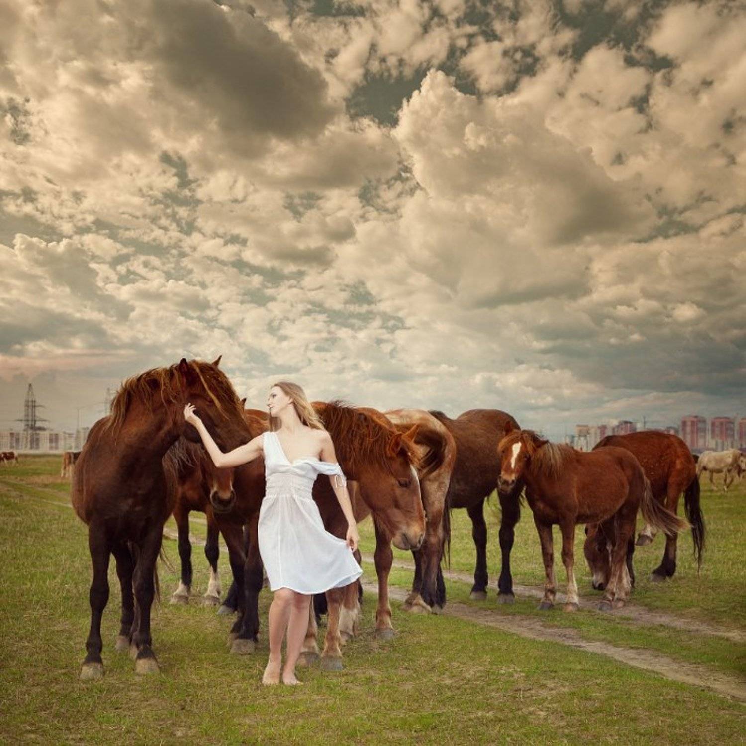 девушка, лошади, Афанасьева Юлия