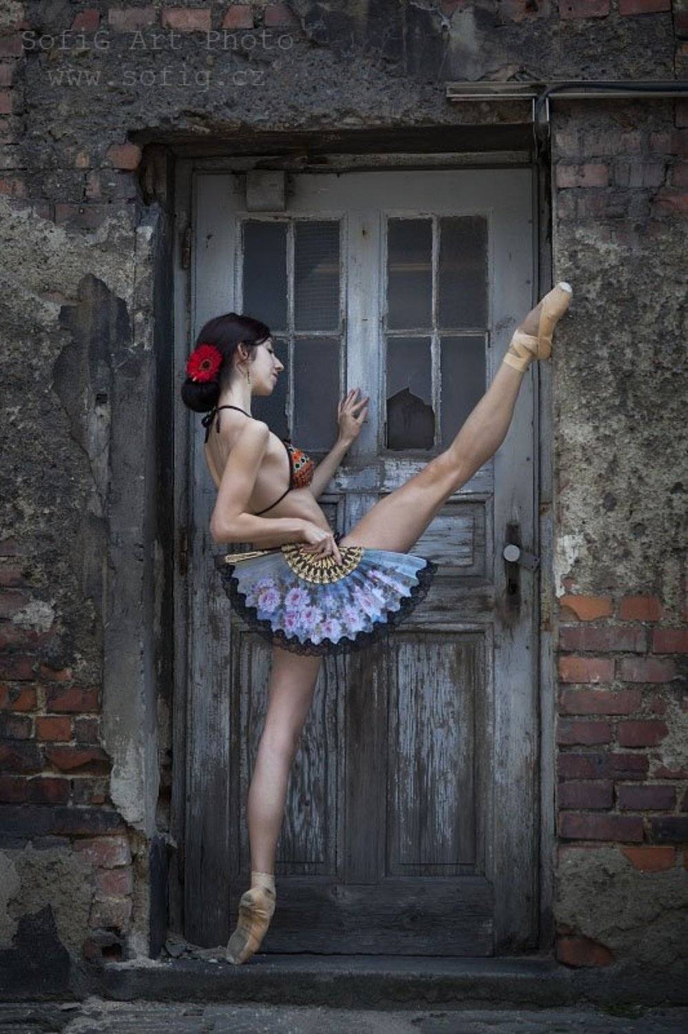 ballet, balet, tanec, dance, sofig, ballerina, SofiG