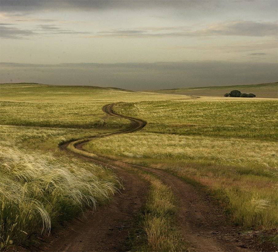 , Дeнис Бoдрoв