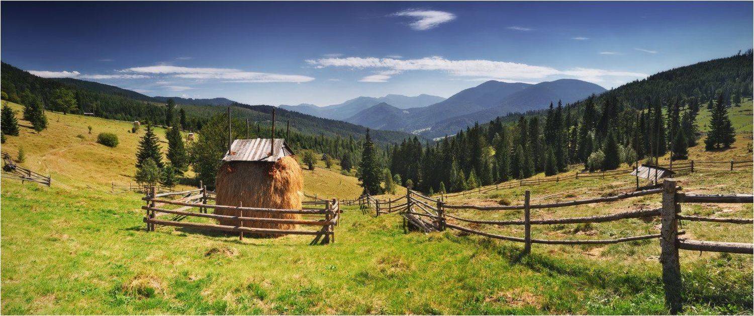 , Денис Кривой