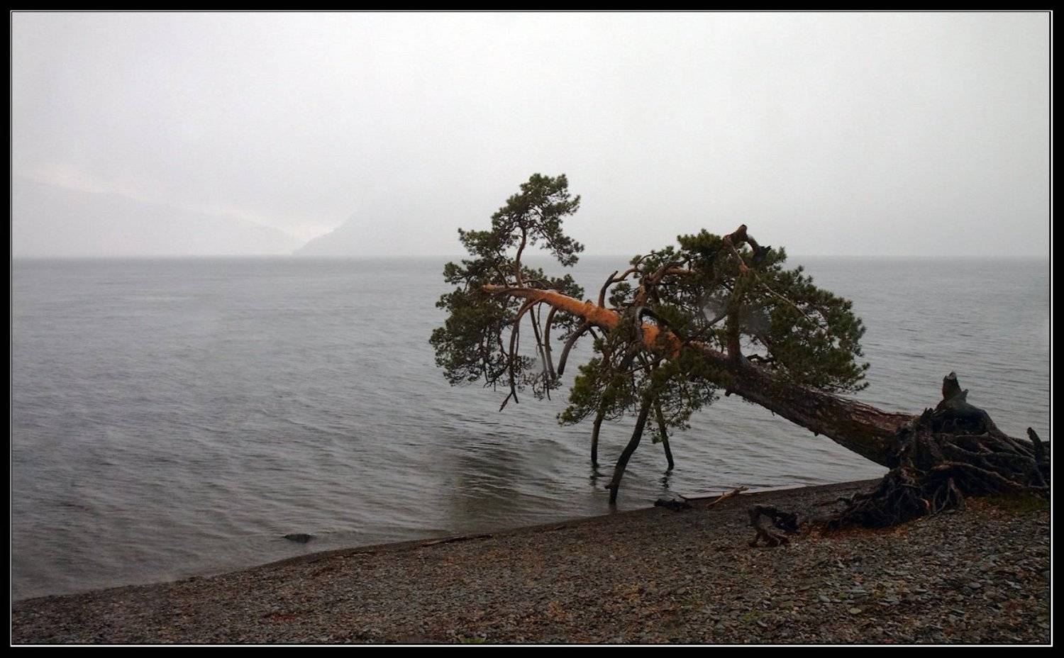 алтай, телецкое, озеро, яйлю, Юрий Фролов