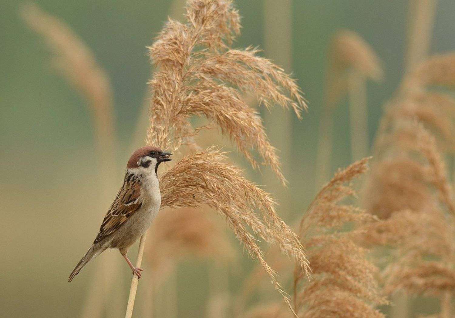 , Александр Юкарев
