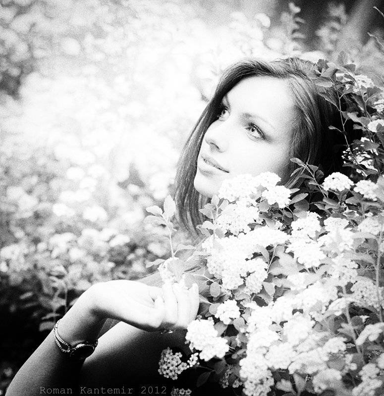 , Роман Кантемир