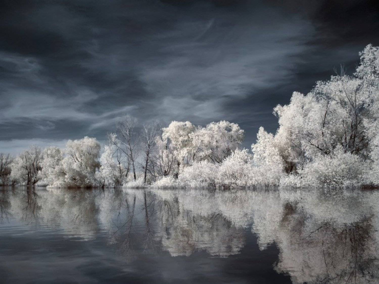 , Эдуард VTORNIK  Николаев