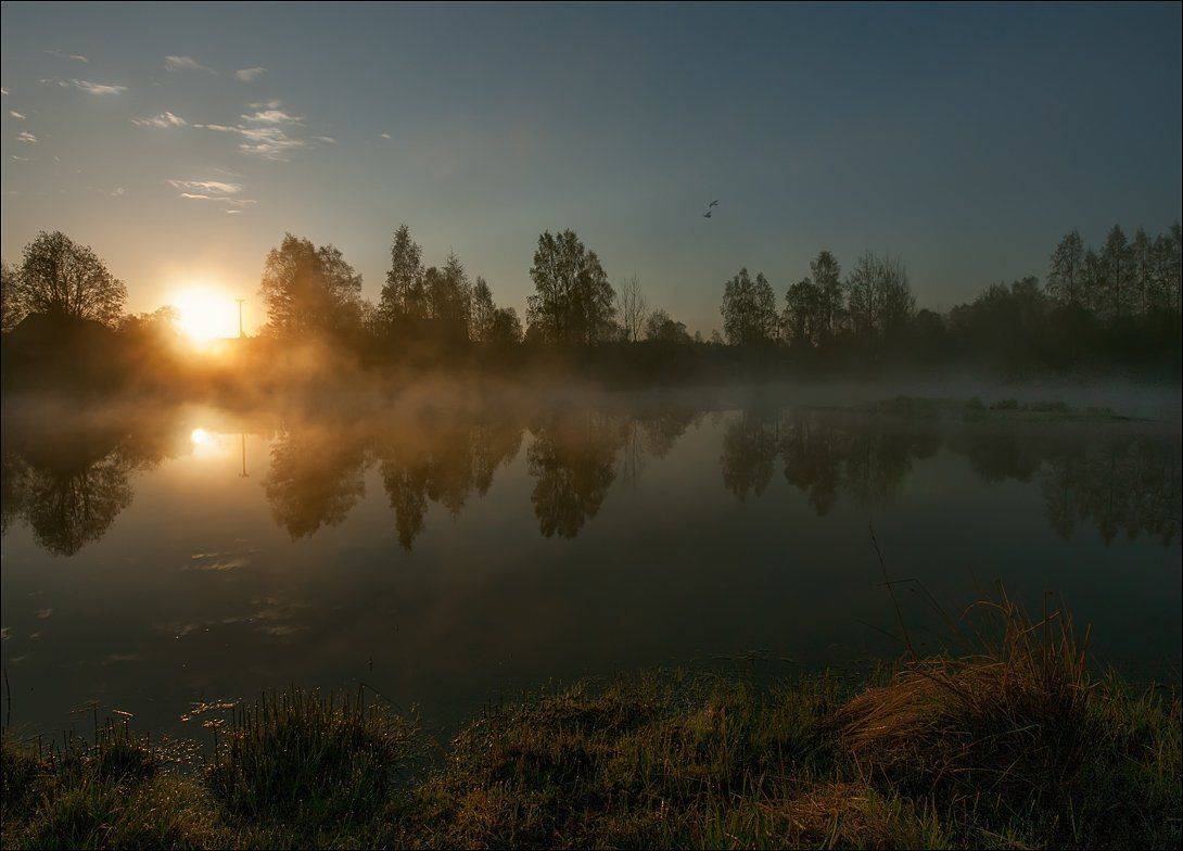, Аркадий Белов