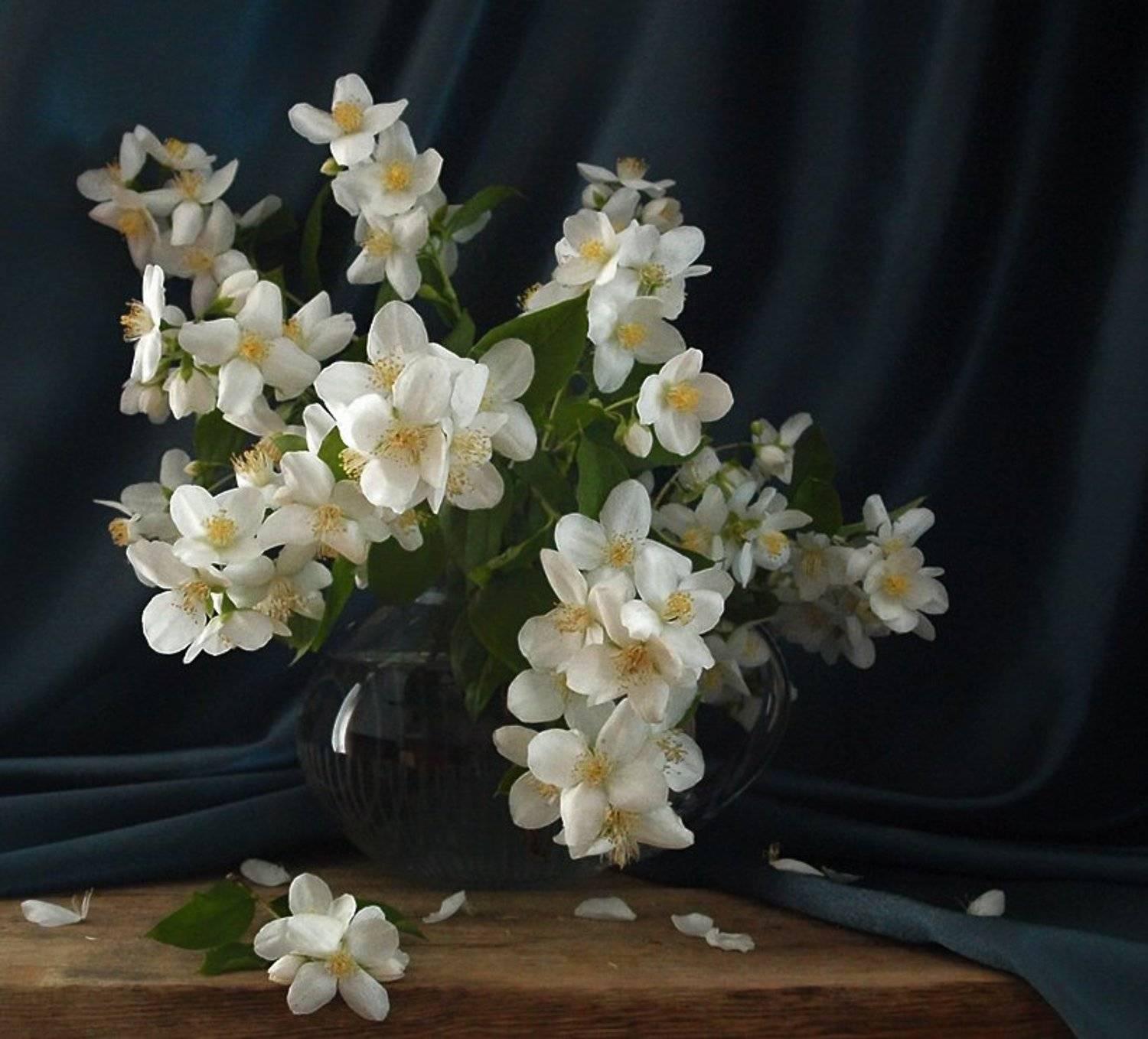 , Нина Гулиманова